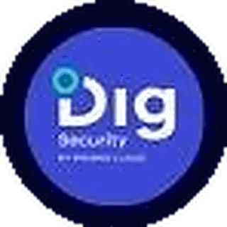 Dig logo